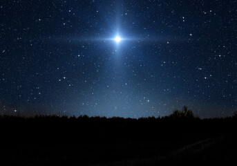 Wall Mural - bright star, starry sky and forest silhouette. star indicates the nativity of jesus christ in the st