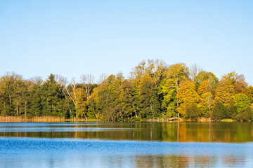 Poster - Lake view with colorful autumn colors on the woodland