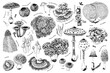 Hand drawn rare mushrooms collection. Monochrome