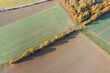 A bird's-eye view of a row of trees in autumn between two fields in the Taunus/Germany
