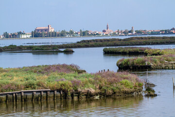 comacchio po delta regional park marshes with flamingos