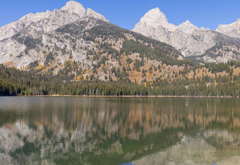 Sticker - Scenic Autumn Reflection Landscape in Grand Teton National Park Wyoming