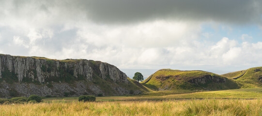 Wall Mural - Sycamore Gap, the lone tree which is a landmark on the Hadrian's Wall trail in Northumberland