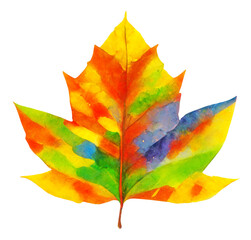 Wall Mural - isolated autumn maple tree leaf, digital illustration