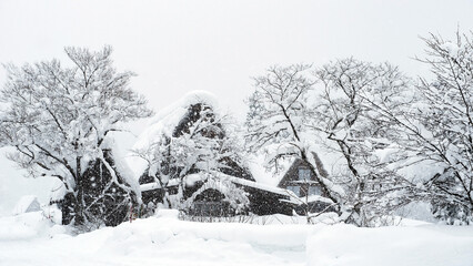 shirakawako house in Japan winter season