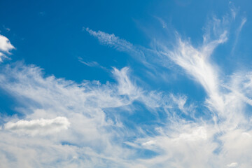 Wall Mural - white clouds in the blue sky