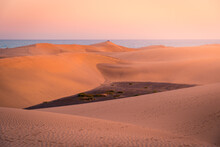 Arid Desert Near Sea At Sunset