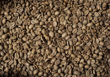 Close-up Of Raw Coffee Beans