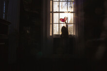 Rear View Of Girl Making Heart Shape On Window At Home