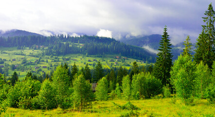 Wall Mural - picturesque mountain valley covered with forest