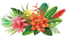 Arrangement From Tropical Flowers