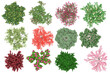 © Govinda - Pack of PNG vegetation. Flowering bushes. Made from 3D model for compositing