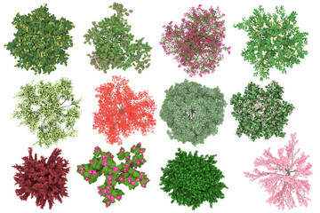 Wall Mural - Pack of PNG vegetation. Flowering bushes. Made from 3D model for compositing