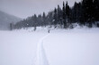 © Cavan Images - Distant view of woman walking on snow covered field during snowing