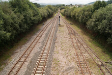 High Angle View Of Railroad Tracks Amidst Trees