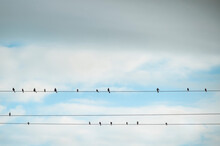 Low Angle View Of Silhouette Birds Perching On Cable