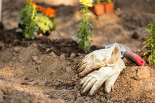 High Angle View Of Gardening Gloves With Trowel On Field At Garden