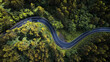 © Cavan Images - Aerial view of winding road amidst trees in forest