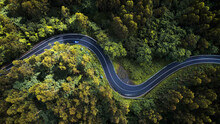 Aerial View Of Winding Road Amidst Trees In Forest