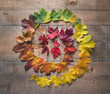 © Cavan Images - High angle view of colorful leaves arranged on wooden table