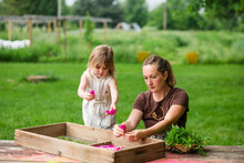 Mother And Daughter Putting Pink Roses In Wooden Frame On Table At Farm