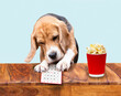 funny beagle dog playing bingo lottery ticket