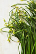 © Cavan Images - Overhead view of fresh chives on table