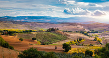 Well Known Tuscany Landscape With Grain Fields, Cypress Trees And Houses On The Hills At Sunset. Summer Rural Landscape With Curved Road In Tuscany, Italy, Europe