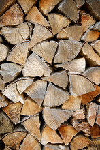 Close-up Of Woodpile In Forest