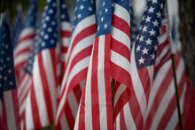 Close-up Of American Flags