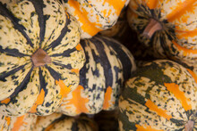 High Angle View Of Pumpkins For Sale At Market