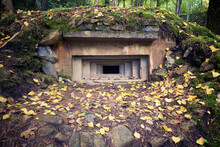 View Of Bunker In Forest During Autumn