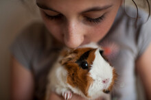 Close-up Of Girl Kissing Guinea Pig At Home