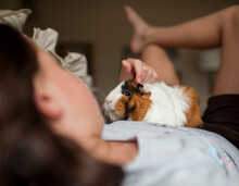 Close-up Of Girl Lying With Guinea Pig At Home