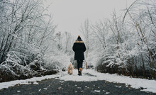Woman Walking Fluffy Dog On Snowy Path Through The Woods