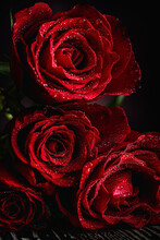 Red Roses For Valentine's Day