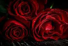 Red Roses For Valentine's Day