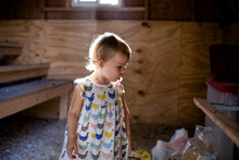 Toddler Girl In Dusty Chicken Coop Looking Down