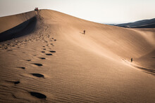 Children Run Down Dunes At Great Sand Dunes National Park