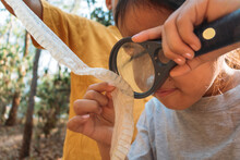 Brother And Sister See The Molt Of A Snake With A Magnifying Glass
