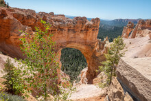 Scenic View To Bryce Canyon Rocks
