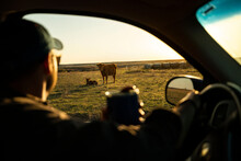 Oklahoma Rancher Checking Cattle While Drinking Coffee