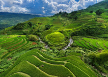 Aerial View Of Rice Terraces In Mu Cang Chai, Vietnam.