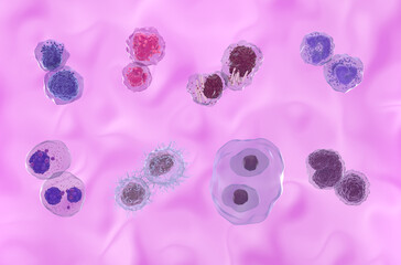 Wall Mural - Most common blood cancer types: leukemias, lymphomas and myeloma (from top-left: AML, ALL, CLL, CML, MM, HCL, HL, NHL) - front view 3d illustration