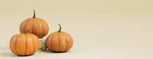Three Pumpkins On A Cream Colored Background. Autumn Themed Banner With Copy-space.