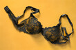 © Tarzhanova - Brassiere on yellow background