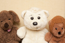 Three Cute Soft Cuddly Plush Toy Bears