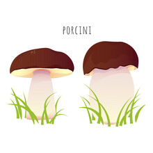 Set Of Two Porcini  Mushrooms With Green Grass