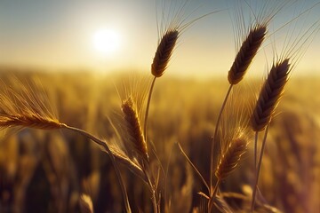Poster - Wheat field. Gears of wheat in close-up. Beautiful landscape. Sunset. 3d artwork