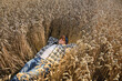 © AlDa.videophoto - Young adult farmer relaxing at agricultural grain field at sunny day. Male worker wearing hat, checkered shirt, sunglasses, lying in ripe wheat field outdoors. Countryside concept. Simple living